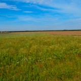 Landschaften Sommer 2013