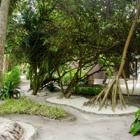 Das innere der Insel mit den Tollen Wegen