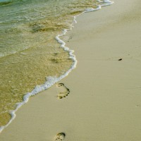 Spuren im Sand