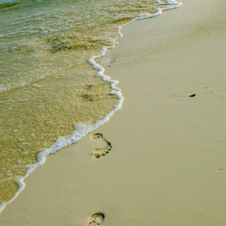 Spuren im Sand